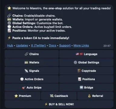 Maestro's welcome menu with chain, wallet and settings buttons
