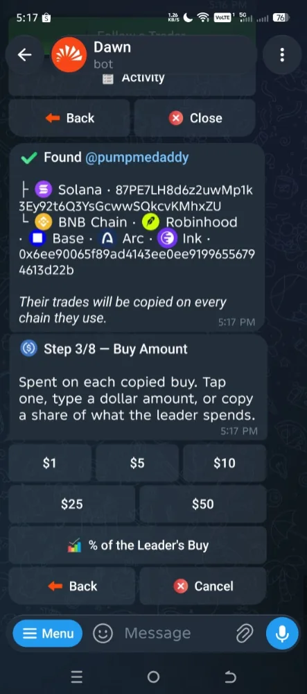 Dawn copy trade buy amount step with preset dollar amounts and a "% of the Leader's Buy" option